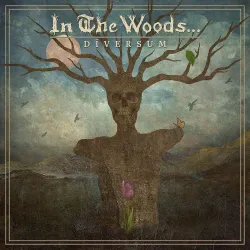 In the Woods- Diversum
